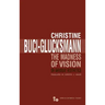 The Madness of Vision: On Baroque Aesthetics Volume 44
