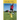 Master Your Football Skill: Tips To Improve All Aspects Of Your Soccer Game: Soccer Coaching Books