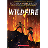 Wildfire (the Wild Series)