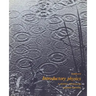 Introductory Physics: A Model Approach