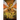 The Hive Queen (Wings of Fire #12): Volume 12