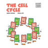 The Cell Cycle