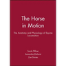 Horse Motion