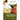 The Reactive Hypoglycemia Sourcebook II Edition