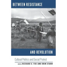 Between Resistance and Revolution: Cultural Politics and Social Protest