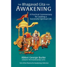 The Bhagavad Gita for Awakening: A Practical Commentary for Leading a Successful Spiritual Life