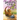 Dragon Gems: Spring 2023