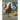 How to Raise Chickens For Eggs and Meat
