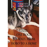 Eddie: One Dog's Journey from Hobo to a Home