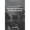 African Americans' Response to Police Brutality: The Black Lives Matter's Strategy and Agenda