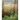 Planting the Natural Garden