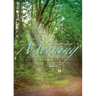 New Every Morning: 52 Devotions for Caregivers