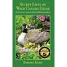 Secret Lives of Wild Canada Geese: A true love story in their hidden paradise
