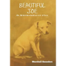 Beautiful Joe