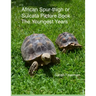 African Spur-thigh or Sulcata Picture Book - The Youngest Years