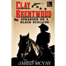 Stranger on a Black Stallion