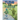 Turq the Turtle: Land and Sea
