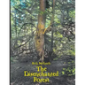 The Disenchanted Forest