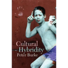 Cultural Hybridity
