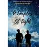 A Surplus of Light: A Gay Coming-of-Age Tale