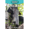 Anteaters