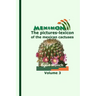 MEXIKON Volume 3: the pictures-lexicon of the mexican cactuses