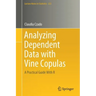 Analyzing Dependent Data with Vine Copulas: A Practical Guide with R