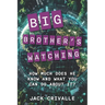 Big Brother's Watching: How Much Does He Know and What Can You Do About It?