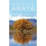 Poems from the Río Grande: Volume 14