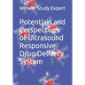 Potentials and Perspectives of Ultrasound Responsive Drug Delivery System