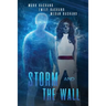 Storm and The Wall