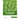 The Chloroplast: Basics and Applications