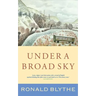 Under a Broad Sky