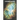 Cosmic Quest
