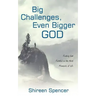 Big Challenges, Even Bigger God: Finding God Faithful in the Hard Moments of Life