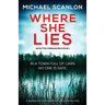 Where She Lies: A gripping Irish detective thriller with a stunning twist
