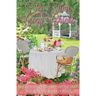 Tea Time With The Cozy Chicks