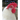 Chicken Scratch