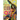 Cion