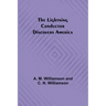 The Lightning Conductor Discovers America