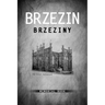 Brzezin Memorial Book