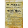 More Wonders of the Invisible World