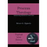 Process Theology: Embracing Adventure with God