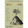 The Christing: Mining the Bible to reveal the extravagant anointing of the Holy Spirit