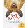 Bat Basics: How to Understand and Help These Amazing Flying Mammals