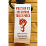 What Did We Use Before Toilet Paper?: 200 Curious Questions and Intriguing Answers