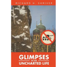 Glimpses of an Uncharted Life: The Empire Collapsed, but the Evil Remained