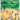 The Adventures of Lisa the Lion Cub: A Magical Children's Illustrated Storybook