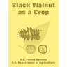 Black Walnut as a Crop