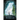 Spirit of the Forest